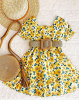 Summer Princess Toddler Girls Dress